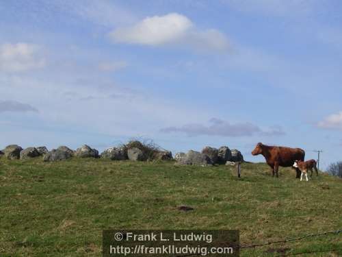 Carrowmore